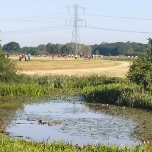 4-walter-groot-bramel