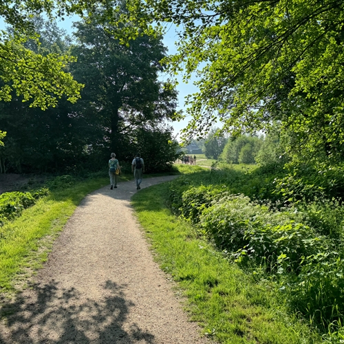 50f0b4fd-cf8d-41d5-a16a-bf30cd83dd1c