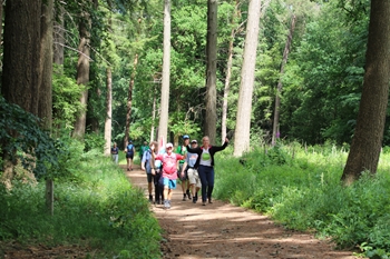 Wandeltips