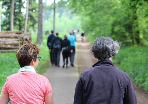 Wandelevenement opnieuw groot succes
