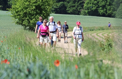 13e Achterhoekse Wandelvierdaagse een groot succes