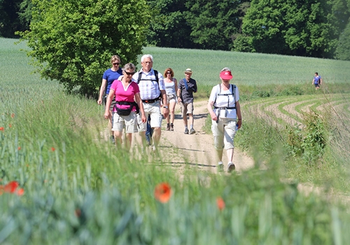 13e Achterhoekse Wandelvierdaagse een groot succes